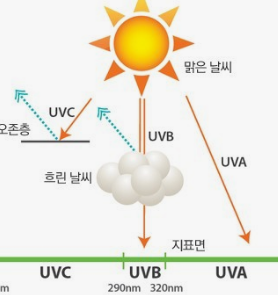 무기자썬크림