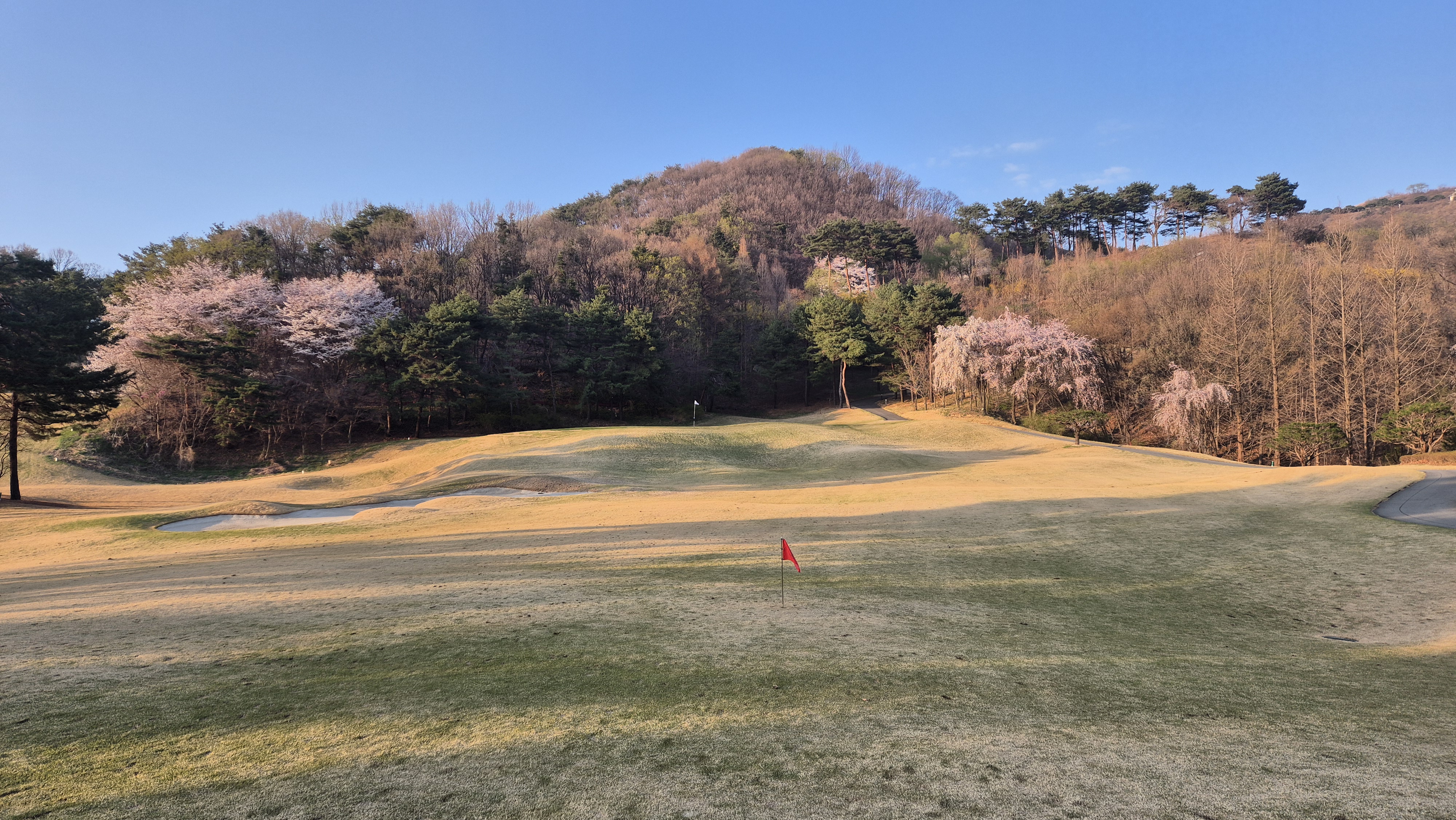 안성베네스트gc 동-남 코스 사진 및 공략 정보