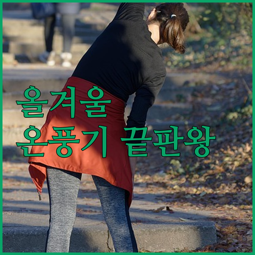 가정용 온풍기 추천 및 사무실 전기 ..