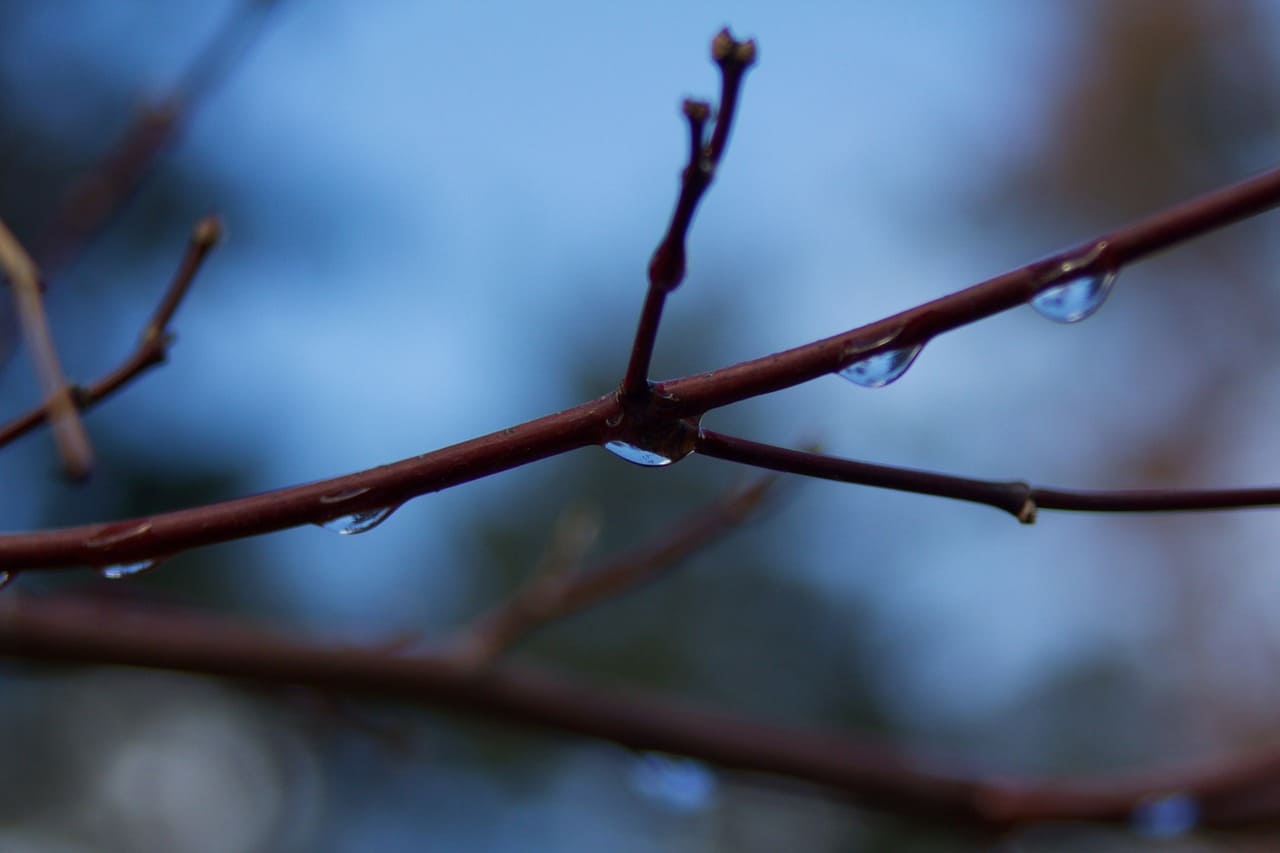 조기재취업수당 금액 계산법 총정리: 실제 얼마나 받을 수 있을까?