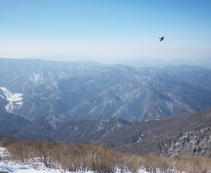 태백산 자연경관 사진
