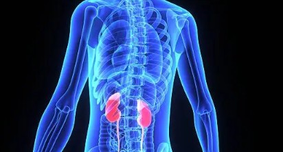 신장에 좋은 음식