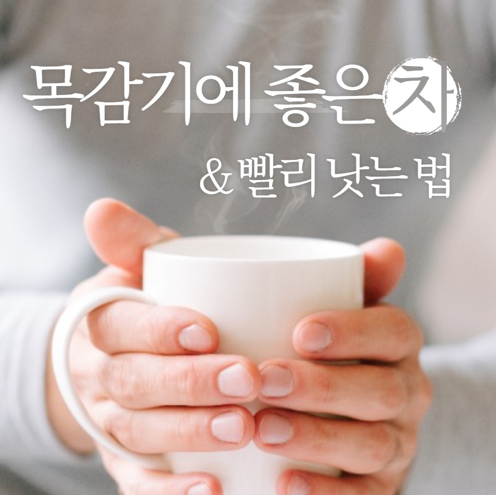 목감기에-좋은-차-5가지와-빨리-낫는방법