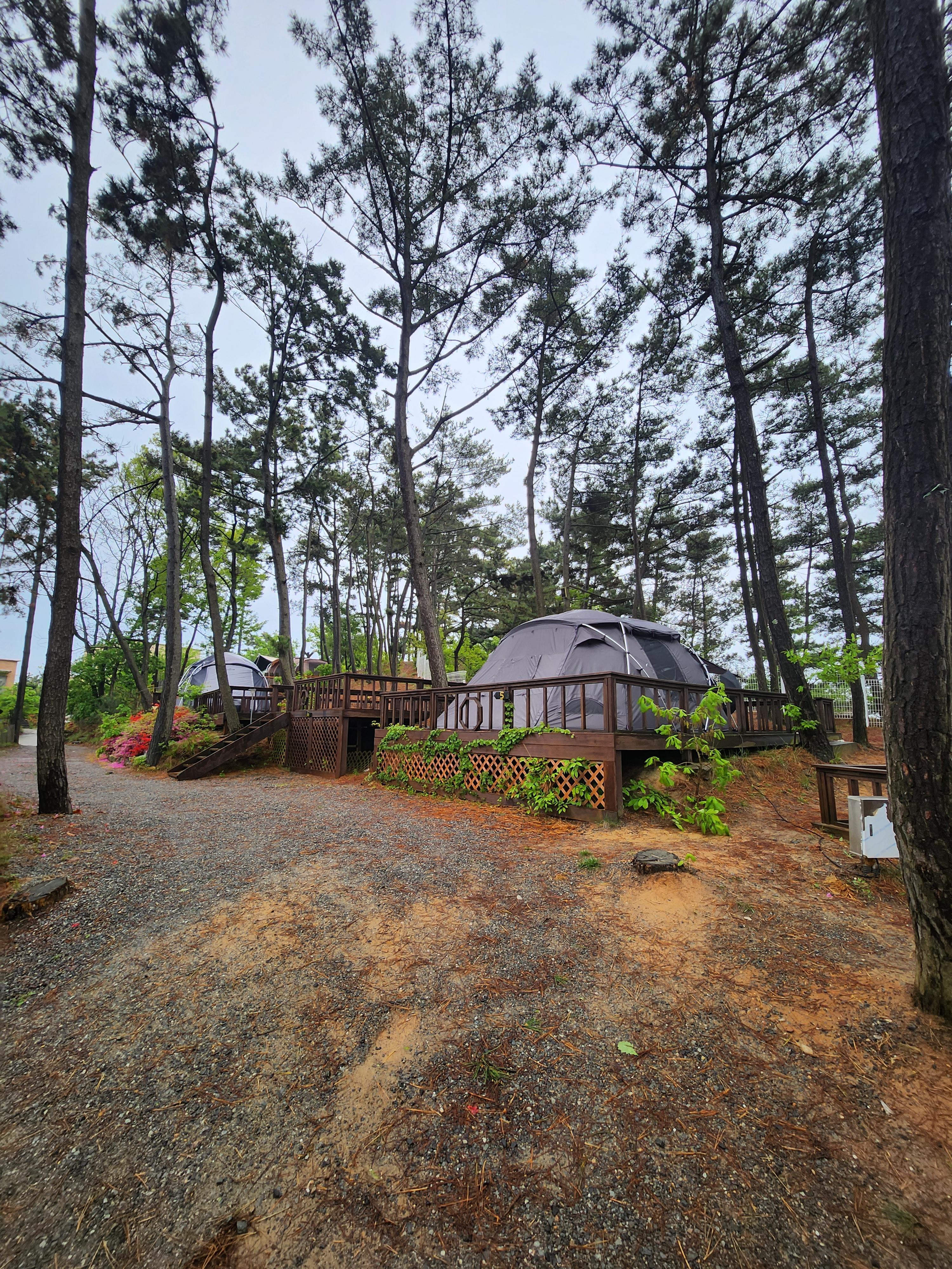 태안캠핑장 데크있는 곳