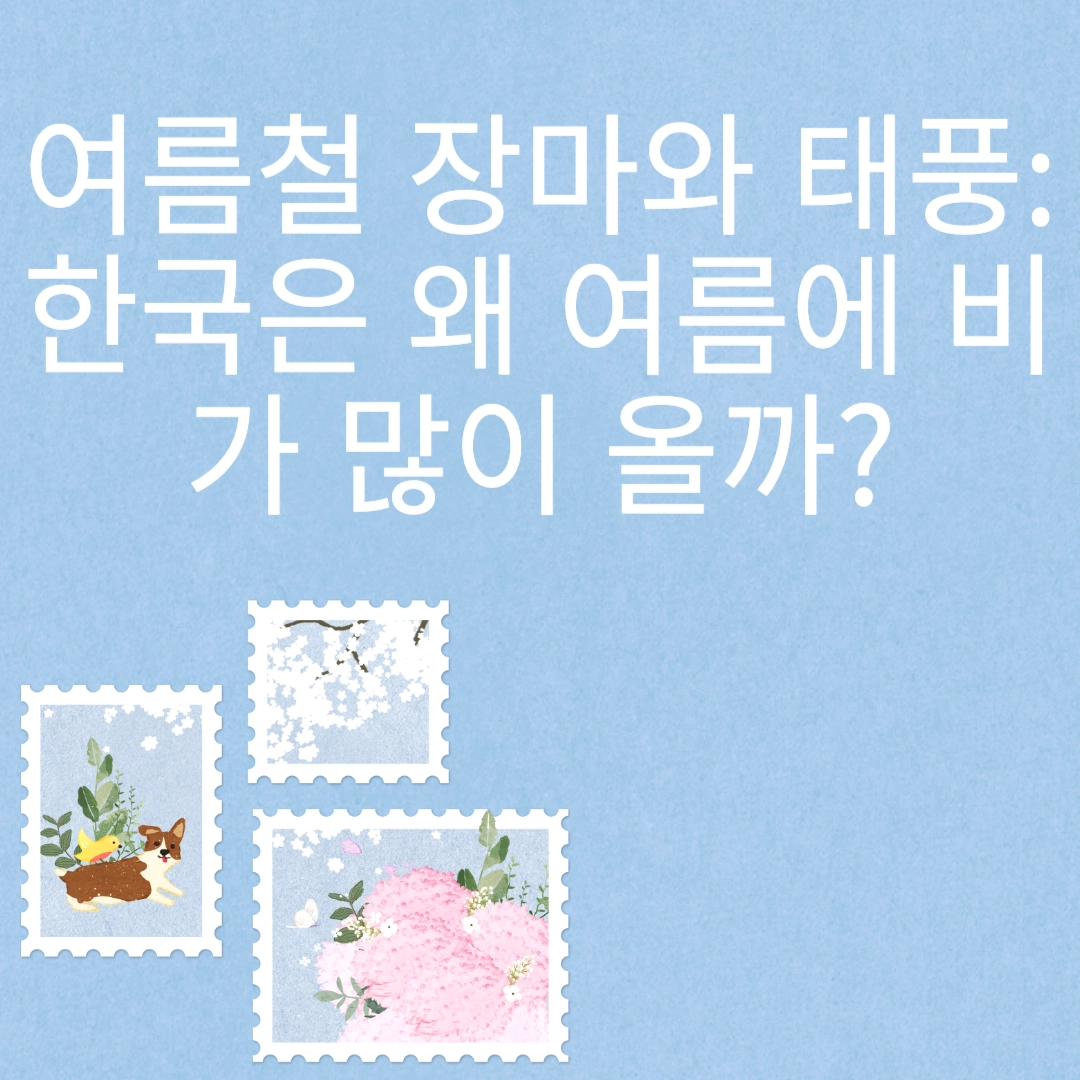 여름철 장마와 태풍: 한국은 왜 여름에 비가 많이 올까? 포스팅 섬네일