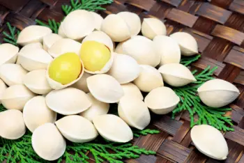 은행 열매 가격 및 효능, 영양성분과 부작용