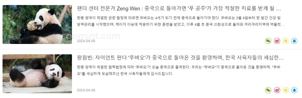 푸바오 중국 실시간 영상, 최근 소식