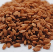 현미 효능과 부작용 영양성분 칼로리 다이어트