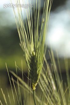 정년없는 직업 손해평가사