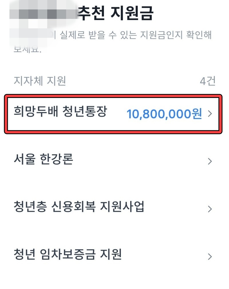 토스 정부지원금