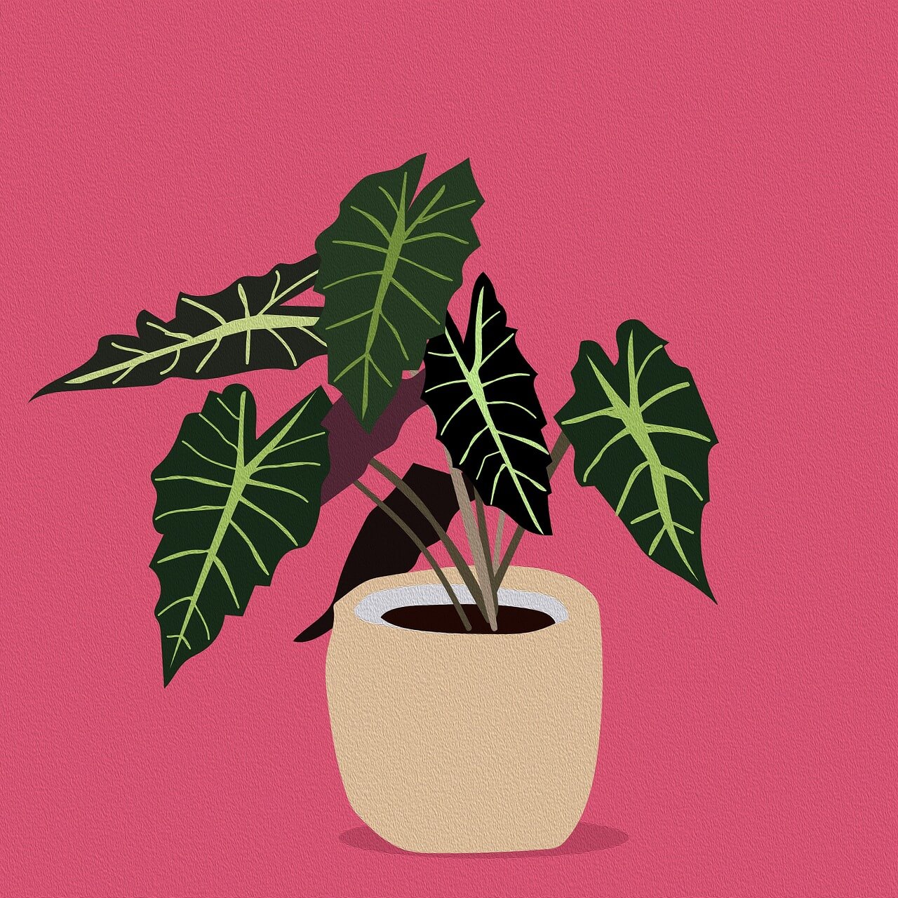 식물 키우는 데 필요한 기본 도구 총정리 – 초보를 위한 원예 필수템 가이드