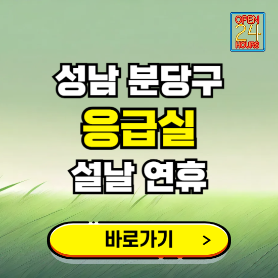 성남시 분당구 설날 연휴 비상진료 응급실 병원 찾기 ❘ 내근처 24시 야간 심야 휴일 가능한 곳