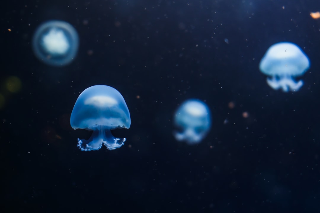 AquaWorld