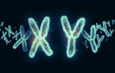 염색체 이미지.