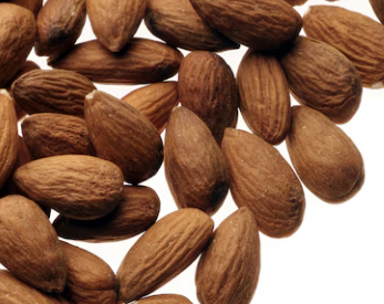 멜라토닌 많은 음식 7