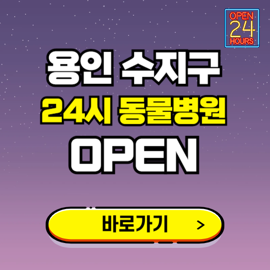 용인시 수지구 24시 동물병원 진료하는 곳 ❘ 설날 휴일 야간 심야 문여는곳 찾기 ❘ 응급진료