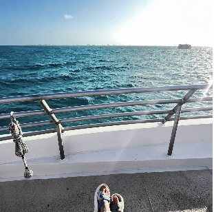 돌싱글즈 4 베니타 인스타 소개