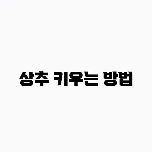 상추 키우는 방법, 손쉬운 팁과 주의할 점