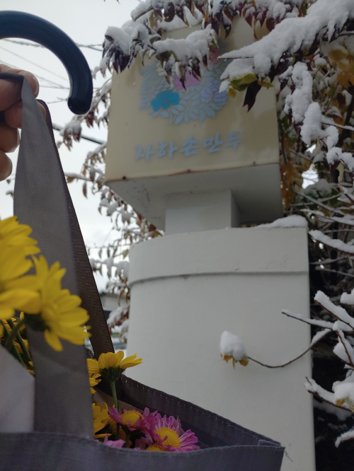 자하손만두-첫눈