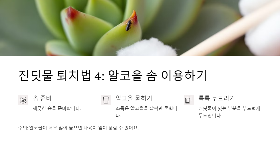 다육이 진딧물 퇴치법