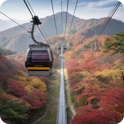 내장산국립공원(케이블카) 가상 이미지