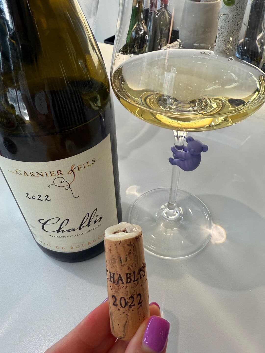 [France] Garnier &amp; Fils Chablis 2022, Vin de Bourgogne｜가르니에 에 피스 샤블리 2022, 부르고뉴