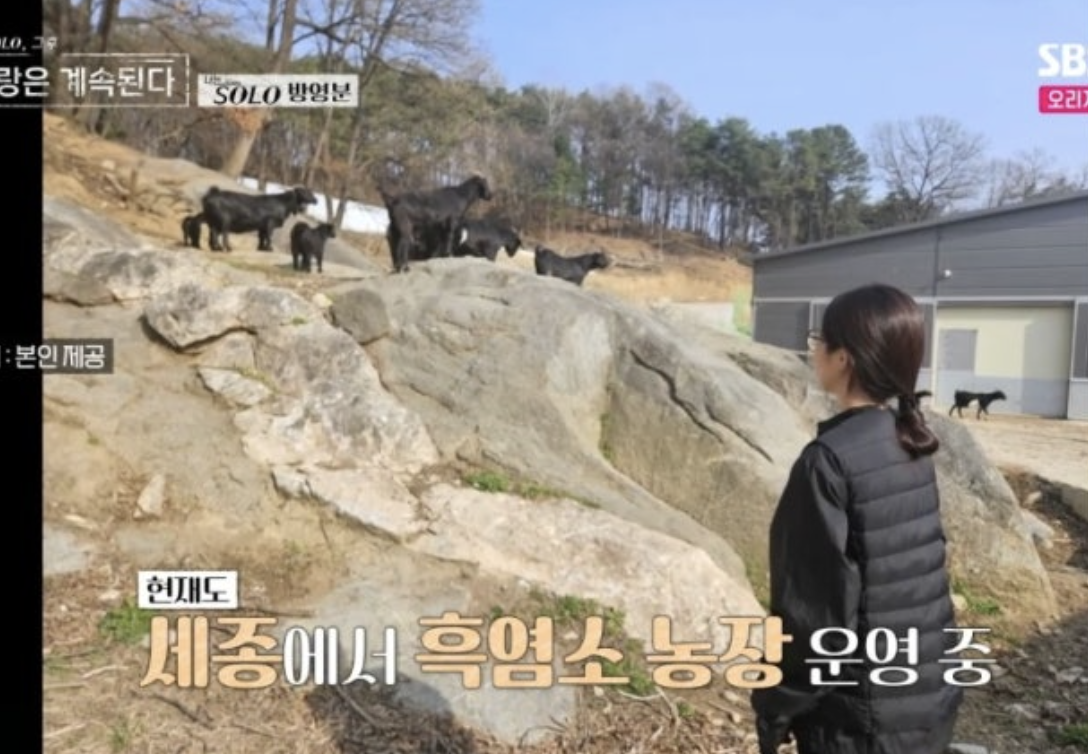 나솔사계