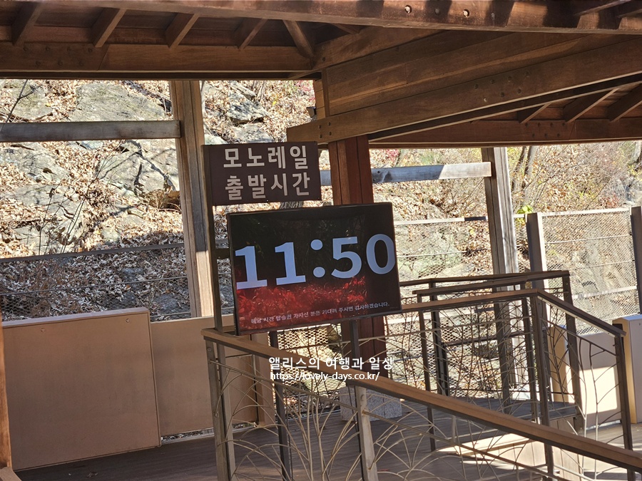 2026 화담숲 봄시즌 예약방법 시즌 기간 모노레일 입장료 꿀팁 정리