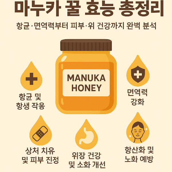 마누카 꿀 효능 총정리! 항균·면역력부터 피부·위 건강까지 완벽 분석