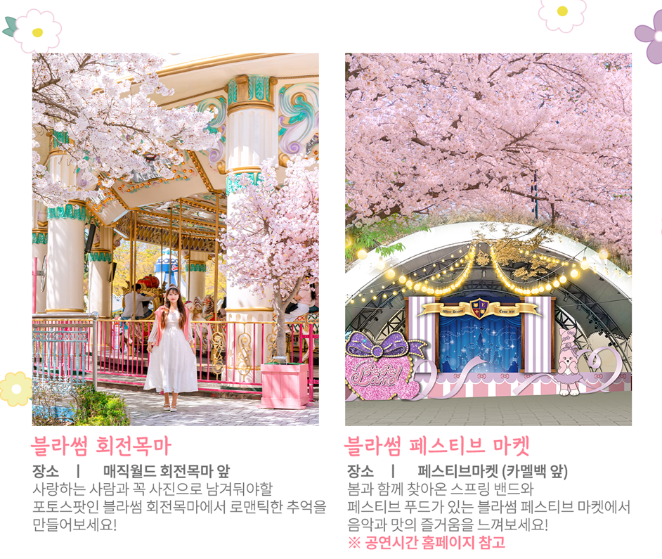 이월드 벚꽃 포토존