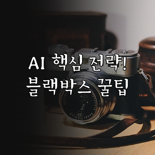 블랙박스 문제 해결과 보안 강화 20..