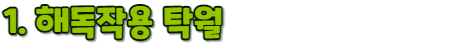 소제목1