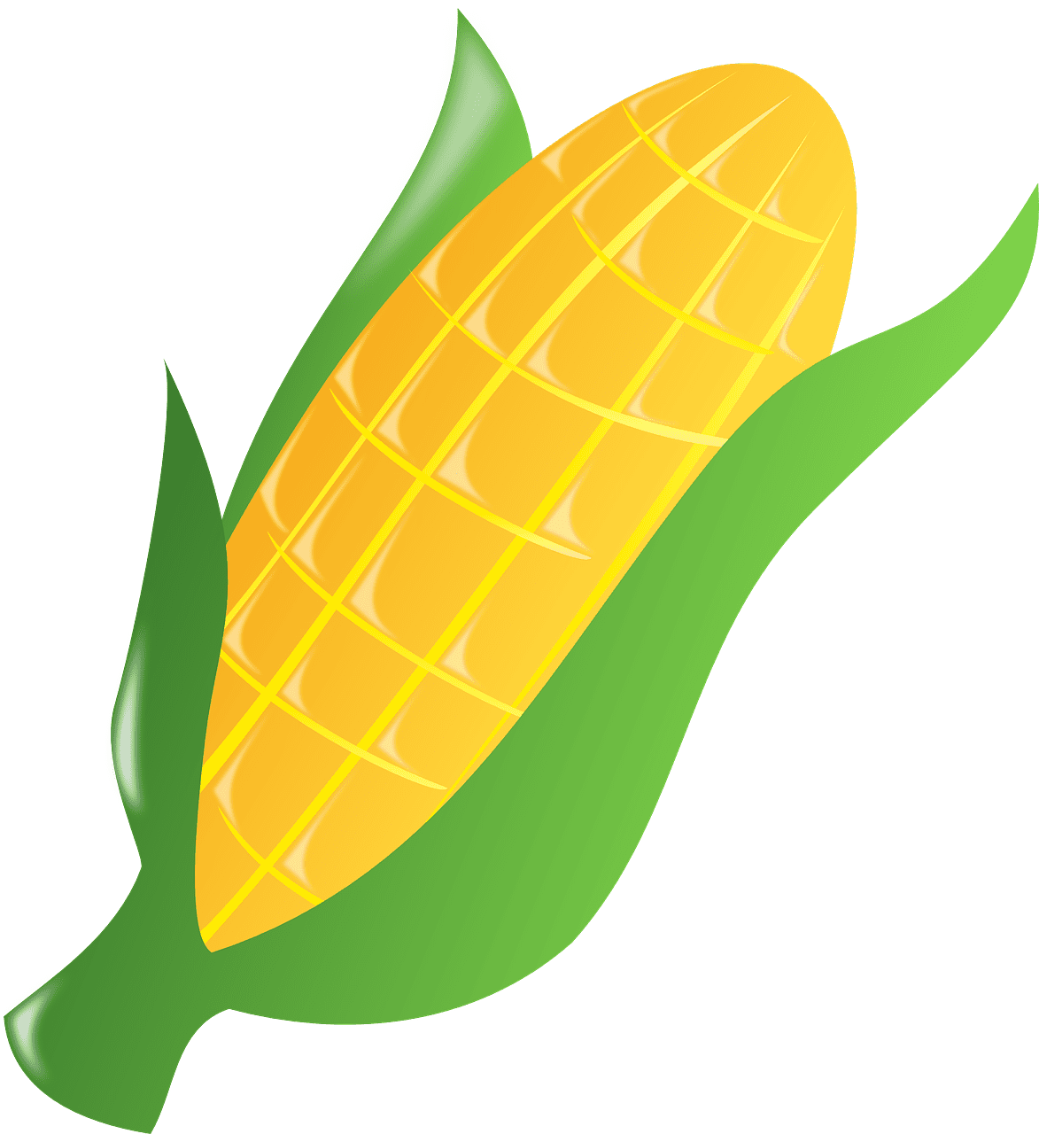 초당옥수수 삶는법 맛있게 찌는법 먹는법 보관방법