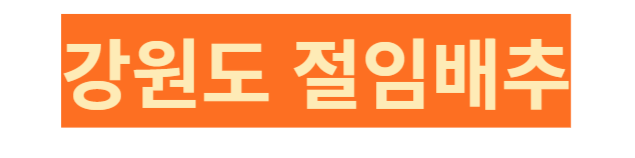 절임배추 20Kg 절임배추 10kg