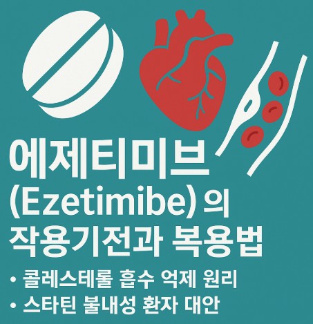 에제티미브(Ezetimibe) 작용기전과 복용법 사진