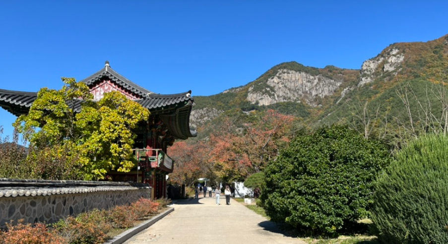 경상북도 청도의 운문사