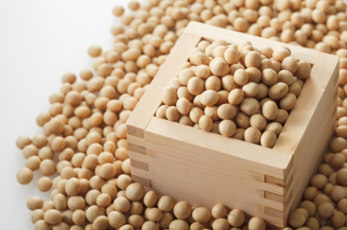 마그네슘 부족현상