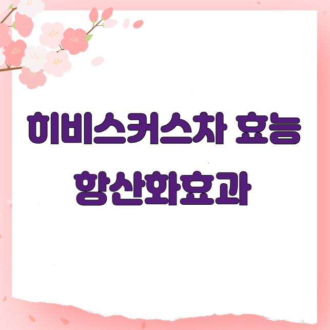 히비스커스차 효능 항산화효과