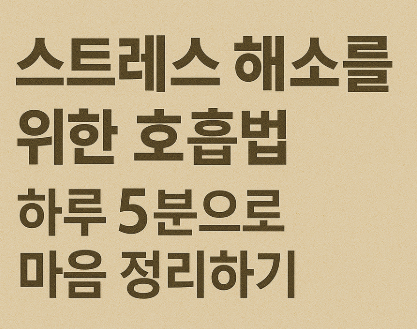 집에서도 가능한 전신 스트레칭 루틴 – 하루를 풀어주는 10분 습관