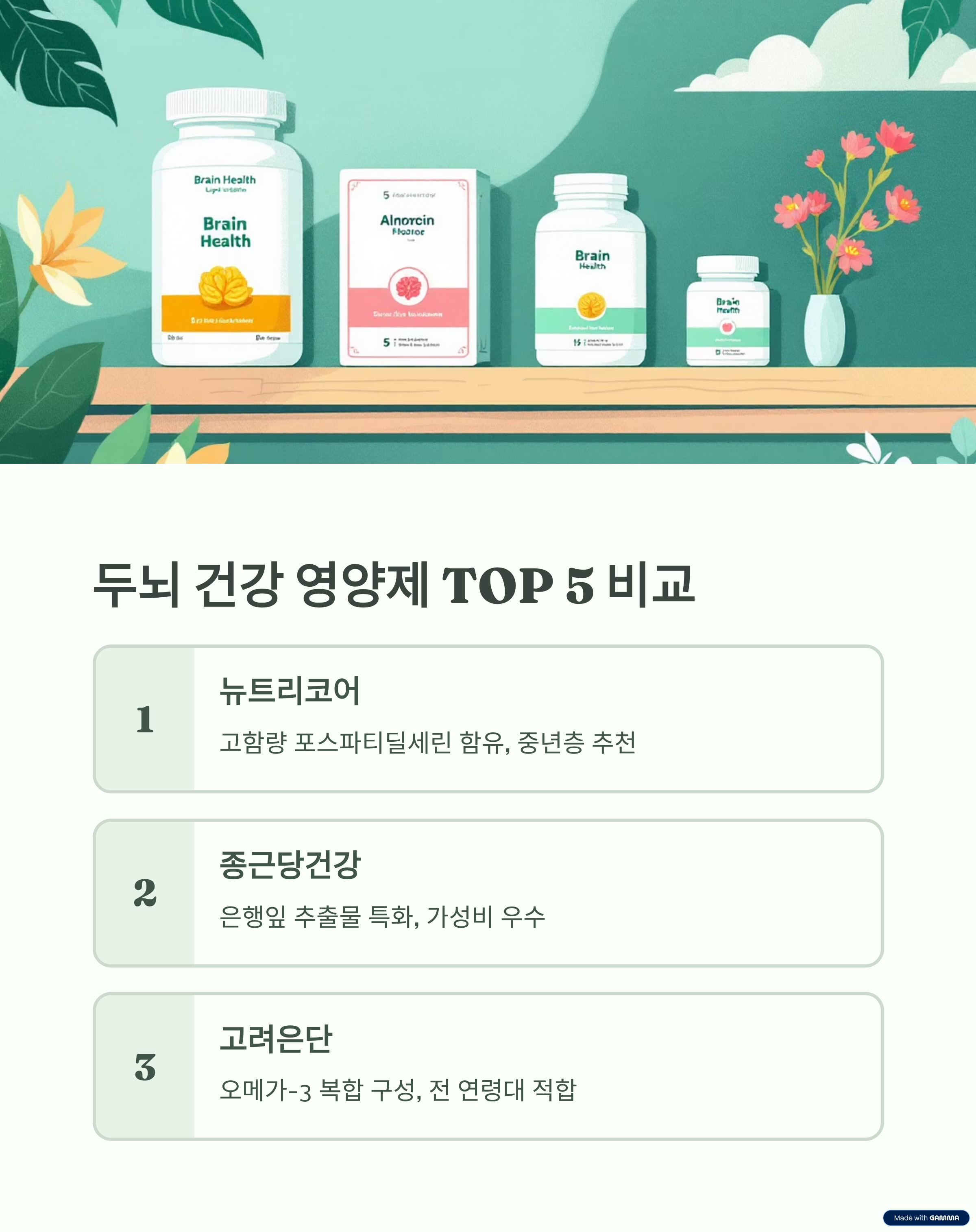 두뇌 건강 영양제 TOP 5 비교