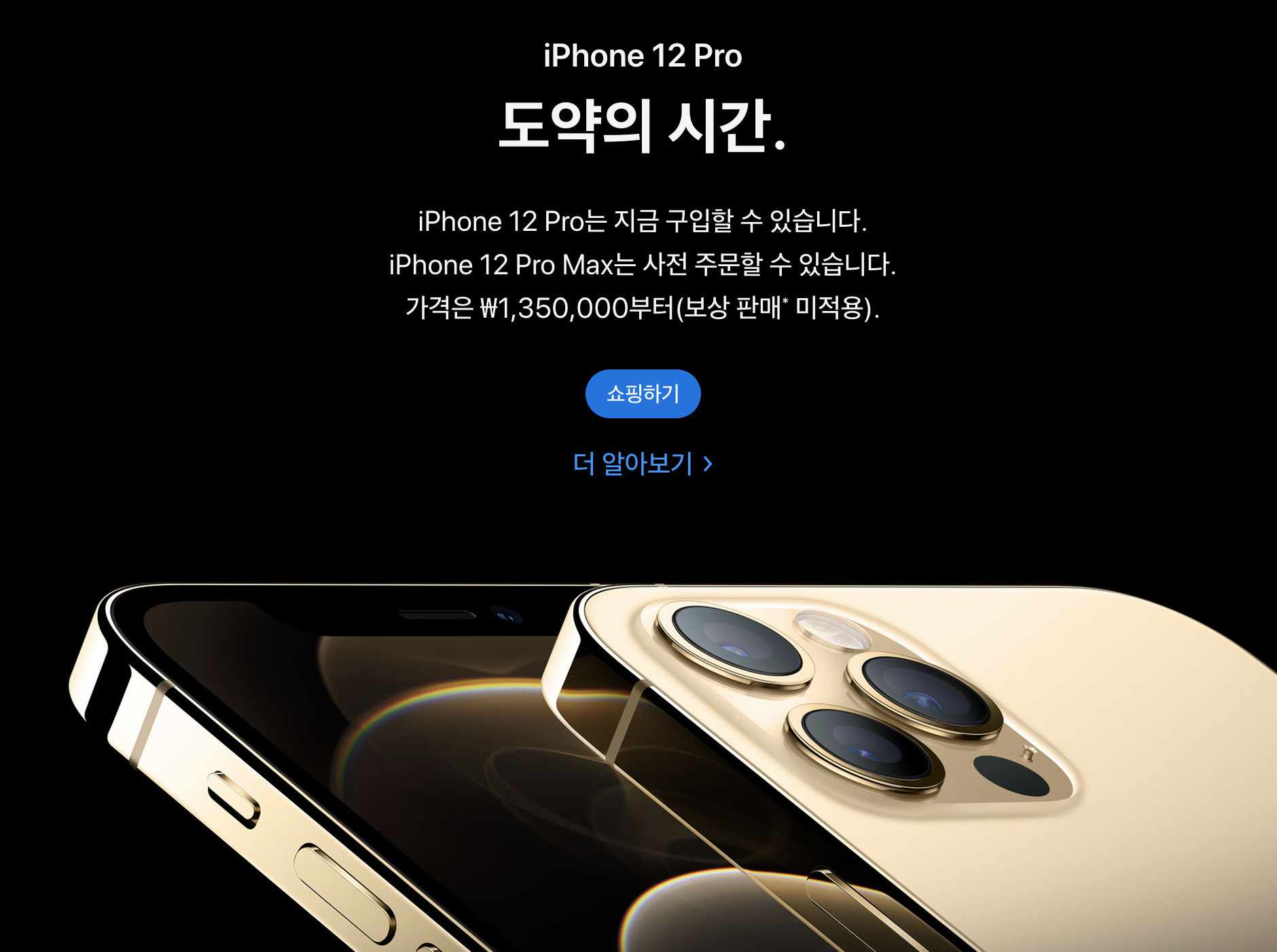 아이폰 프로 12