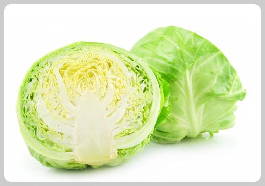 지방간 없애는 방법