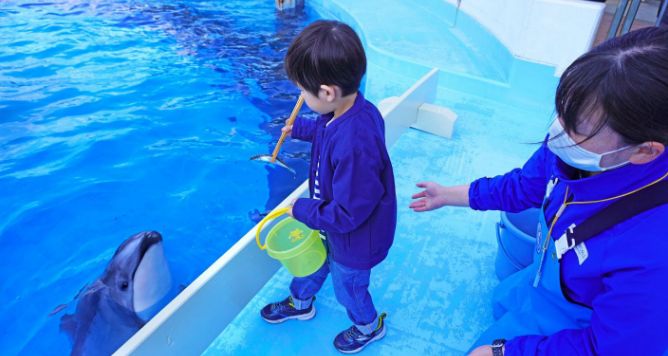 2024년 후쿠오카 자유여행 추천 관광지 인기 쇼핑 명소