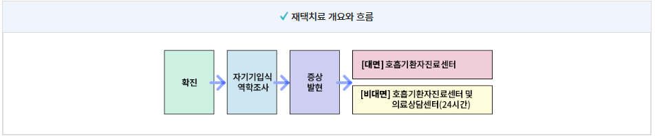 코로나 재택치료