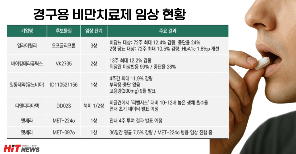 일라이릴리 vs. 노보 노르디스크