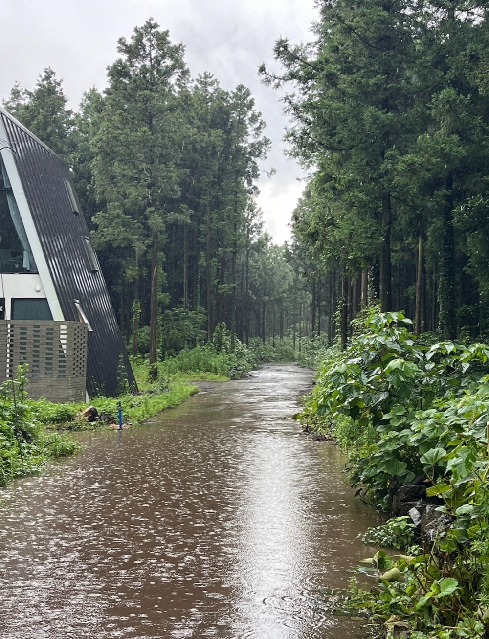 제주-동쪽-구좌-가볼만한곳｜카페-소품샵-포토존이-있는-송당무끈모루