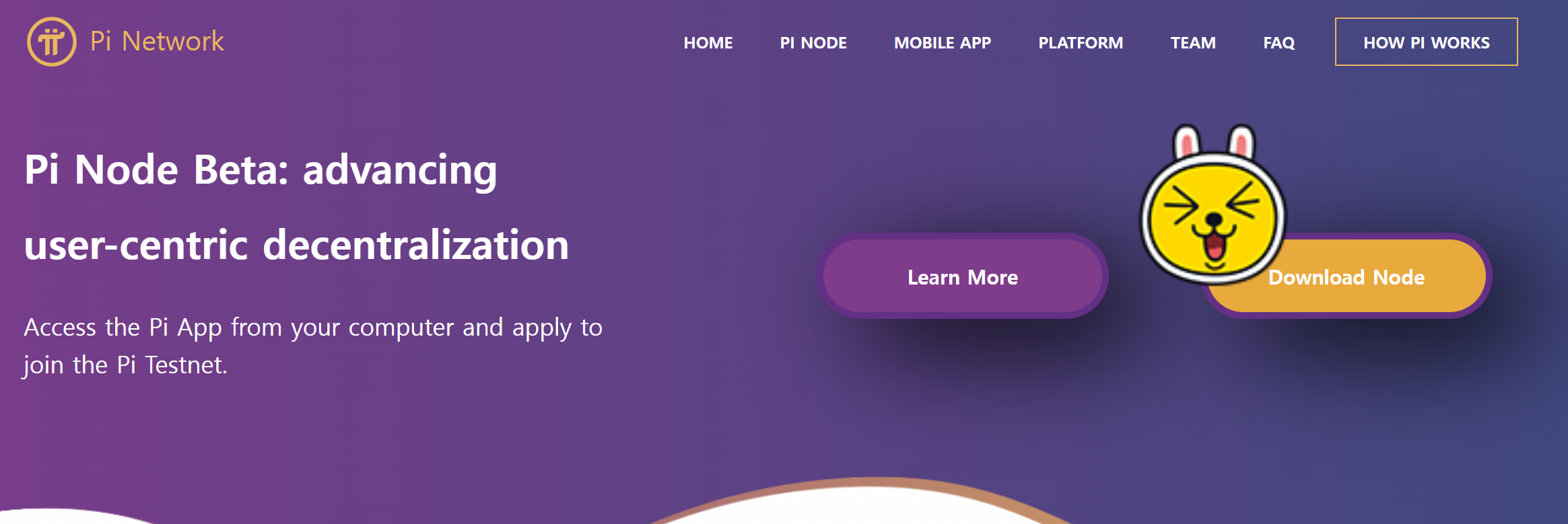 파이코인 노드 설치 