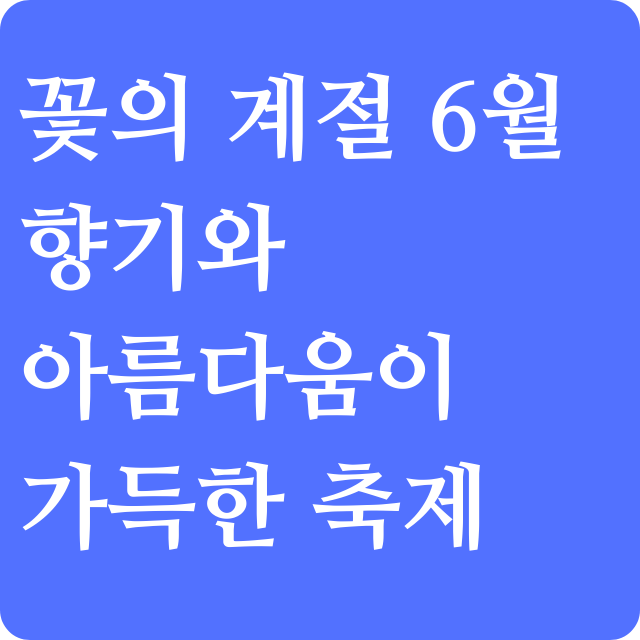 6월에-인기-있는-꽃-종류와-지역별-축제