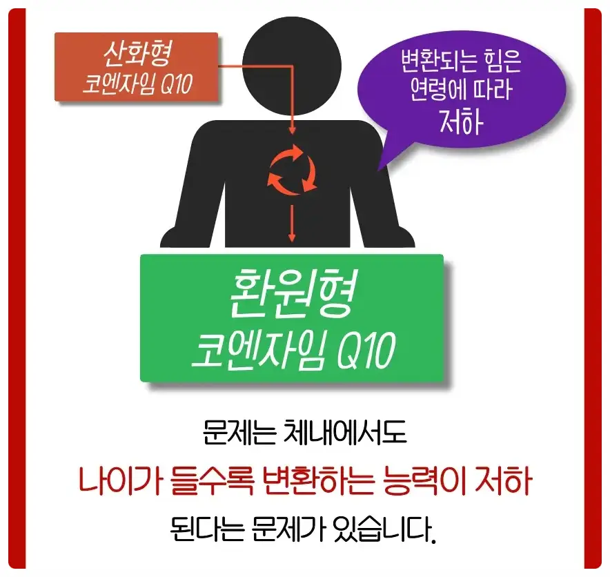 코엔자임Q10