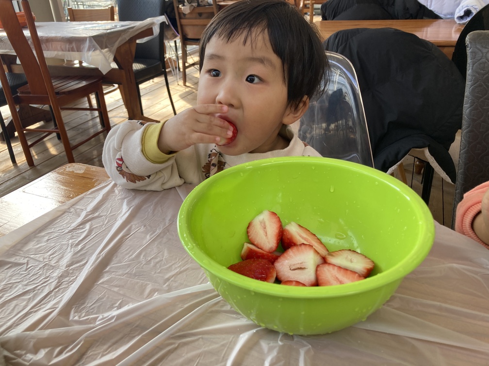 딸기시식2